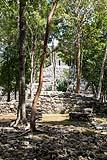 Coba Ruins Mexico Feb 14 2018